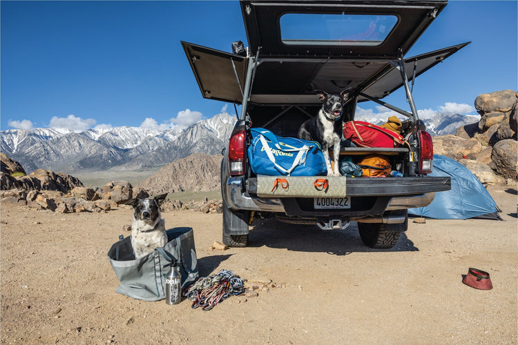 Patagonia Outlet | Ropa Outdoor con Descuento