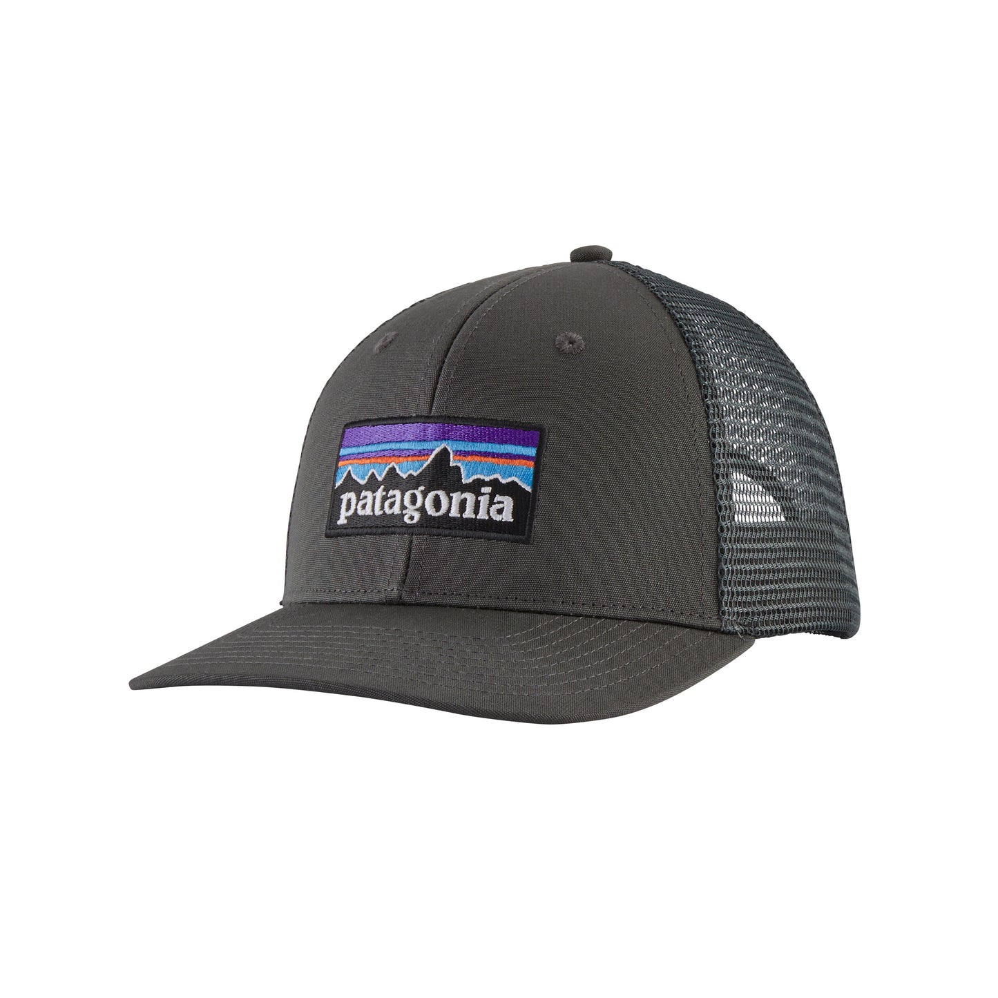 Patagonia | P-6 Logo Trucker Hat