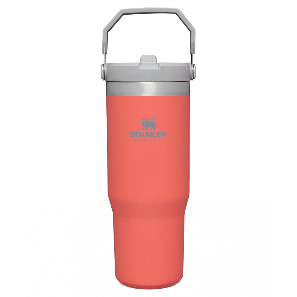 Stanley | Classic Iceflow Flip Straw Tumbler 0.89 L